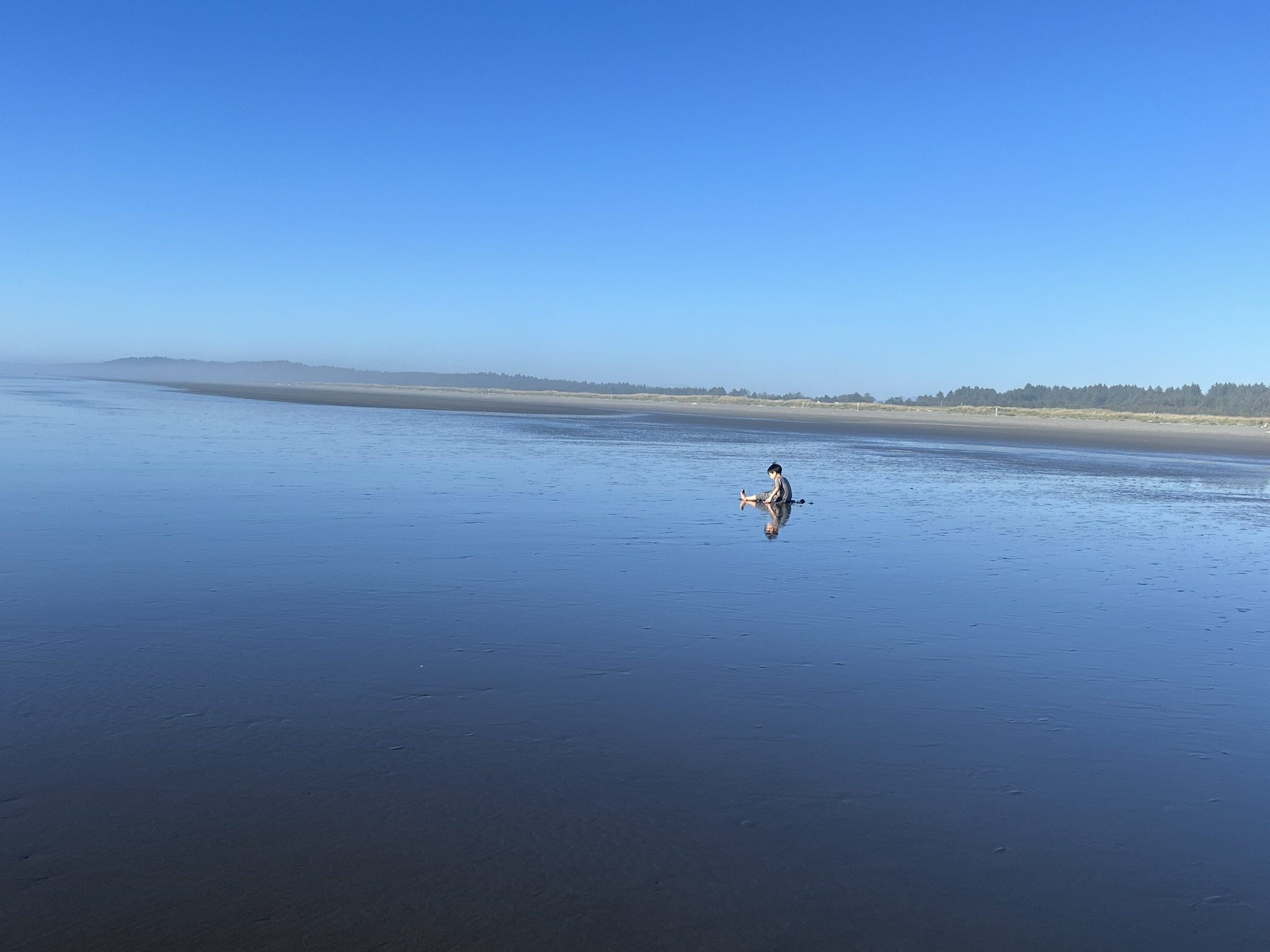 Copalis Beach 근처 캠핑장 리뷰